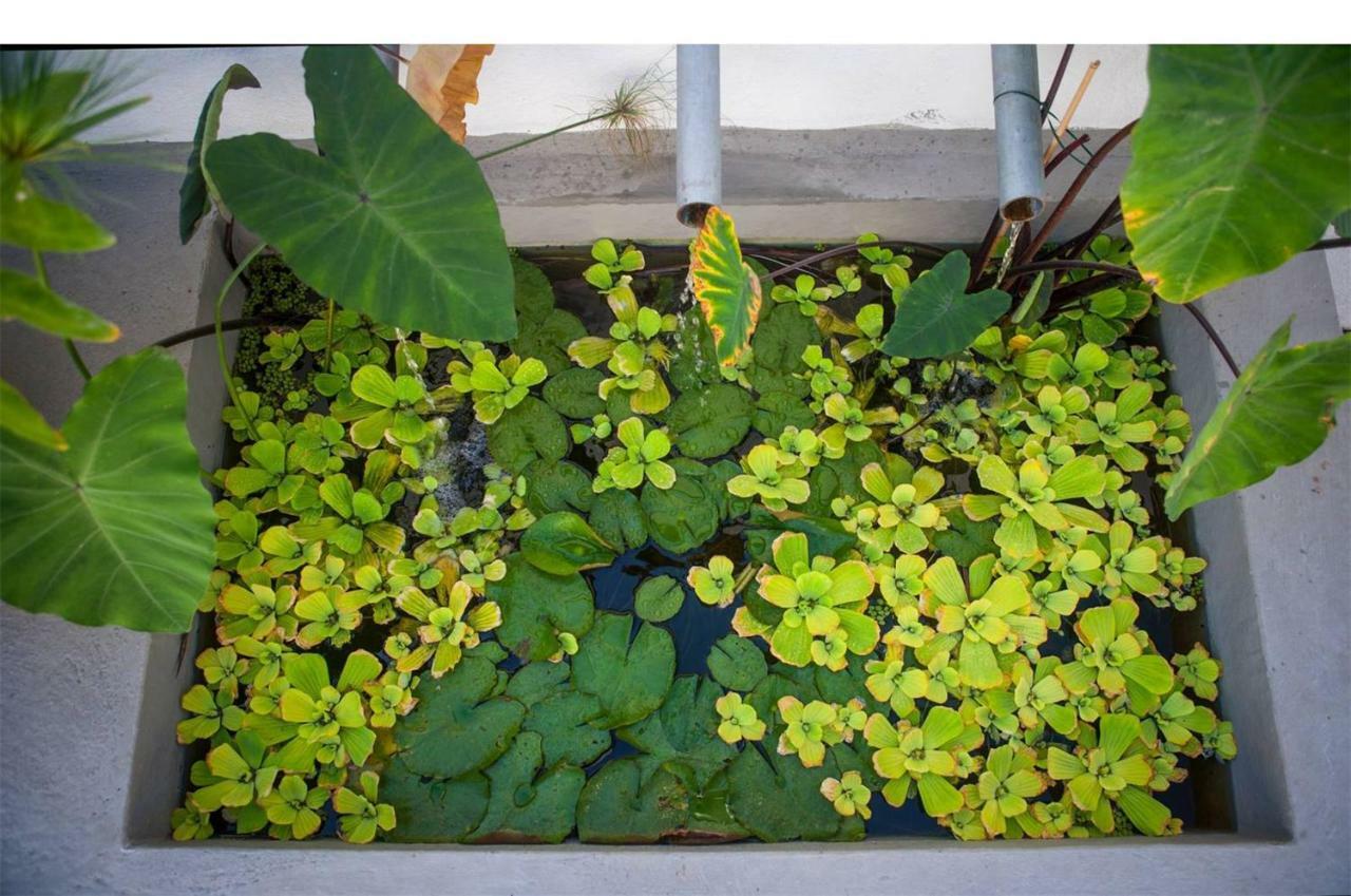 Willa Hacienda Cuatro Ventanas Los Realejos Zewnętrze zdjęcie