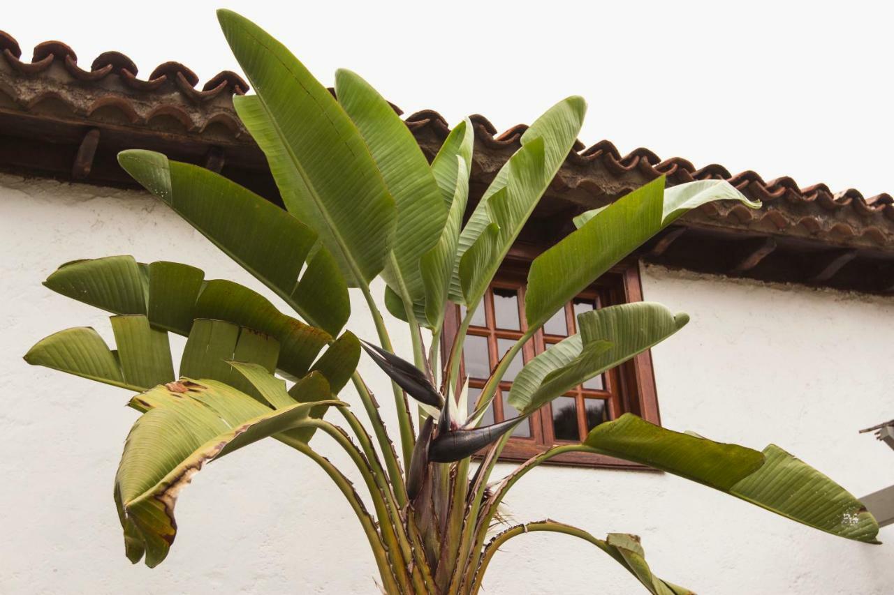 Willa Hacienda Cuatro Ventanas Los Realejos Zewnętrze zdjęcie
